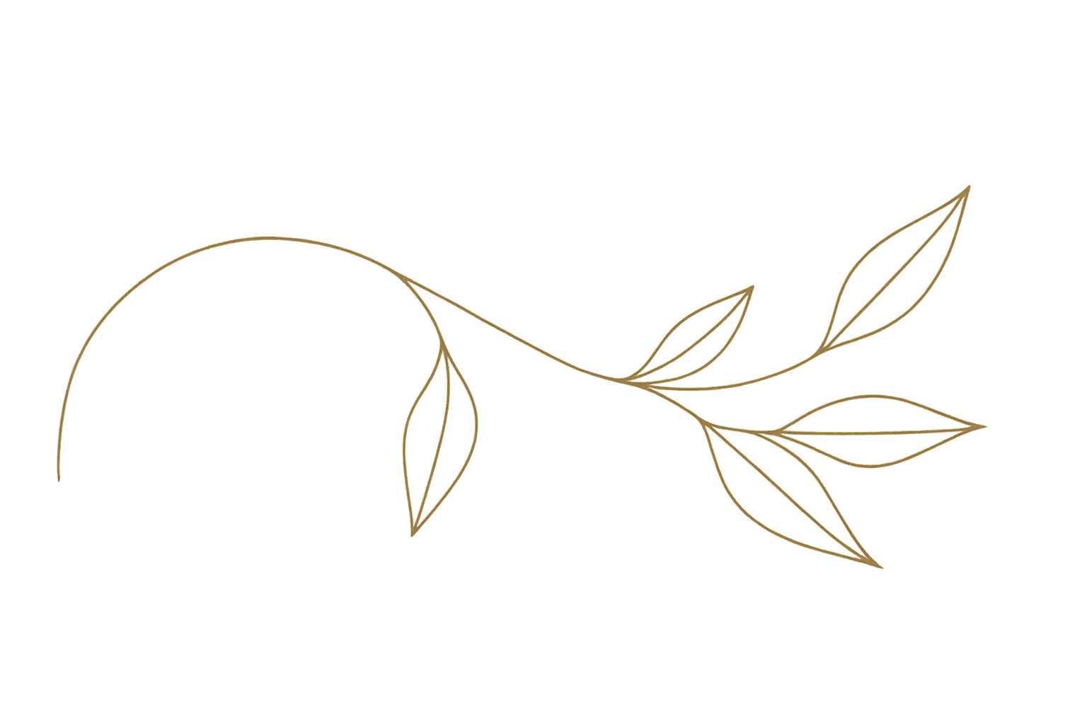 background leaf